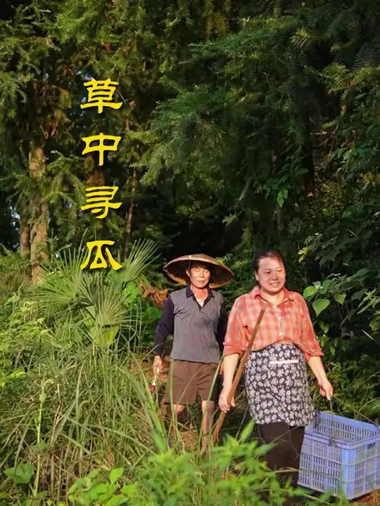 惬意农村生活:拥有专属菜园,种上爱吃的菜