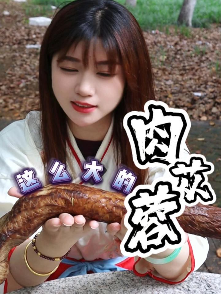 今天啃点新鲜的,肉苁蓉,沙漠人参肉苁蓉