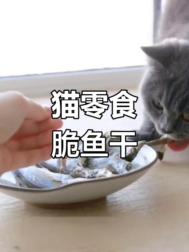 自制小鱼干,猫咪的最爱