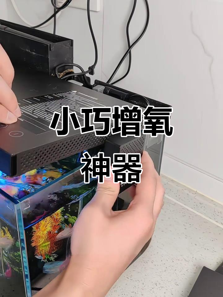小米鱼缸选静音氧气泵,画法几何小巧又高效