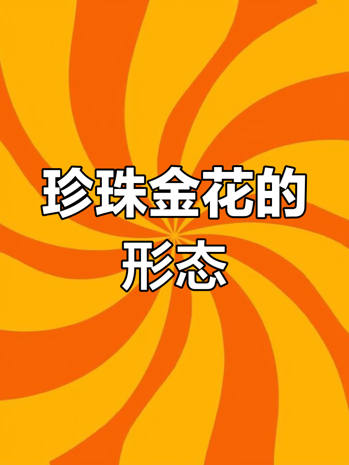 金花系观赏鱼特征解析