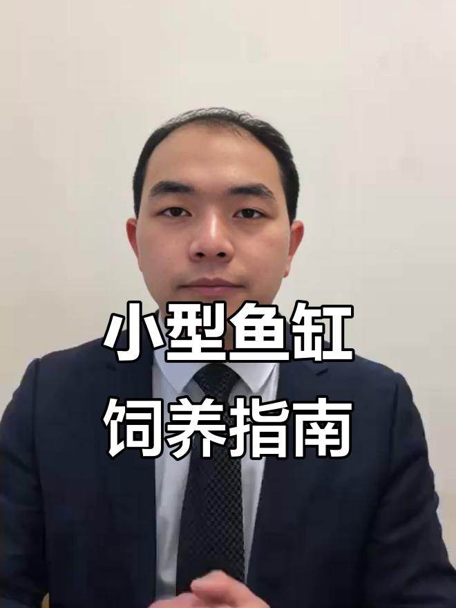 办公桌小型鱼缸适合养什么观赏鱼？