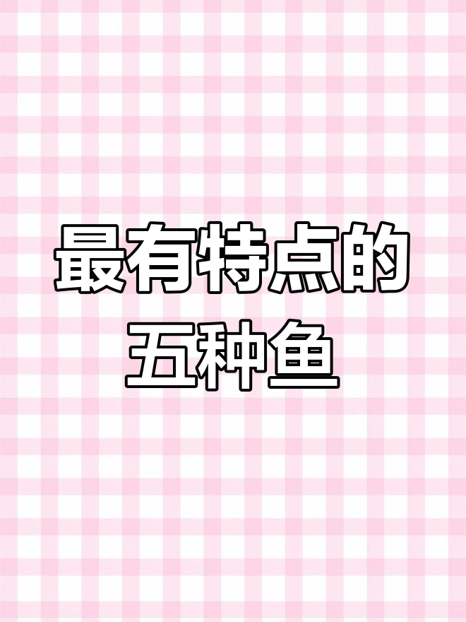 5种最独特鱼类,斑马蝙蝠鱼、石斑鱼等一网打尽