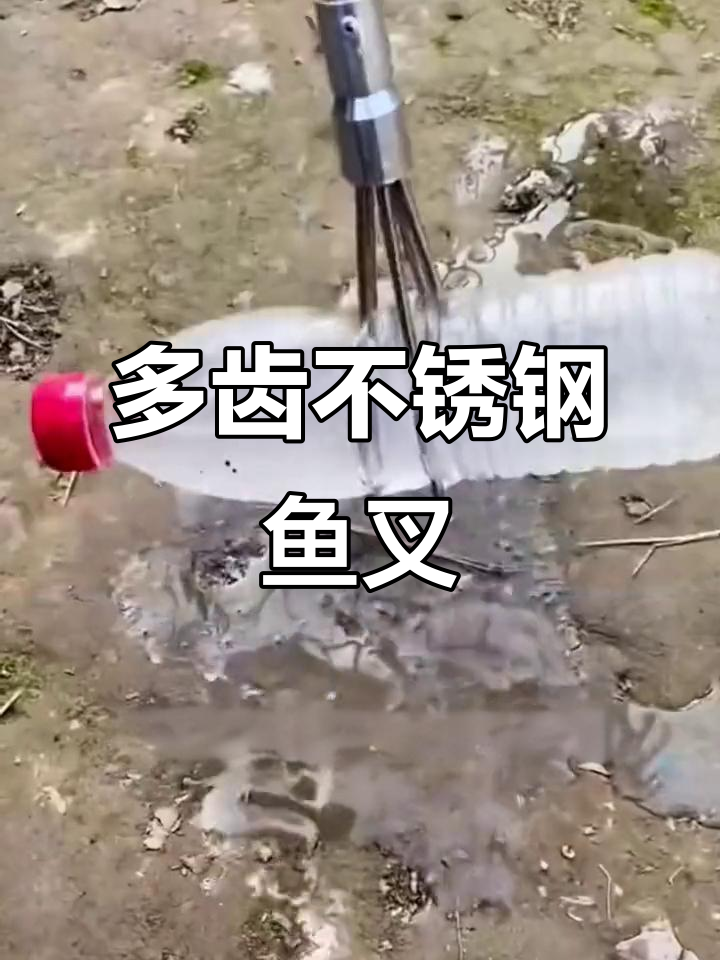 伸缩杆带倒刺鱼叉,轻松抓获猎物