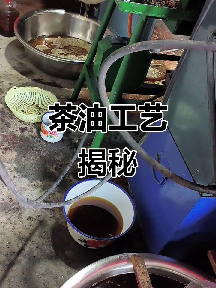 茶油制作全流程:蒸炒、压榨,金黄液体缓缓流出