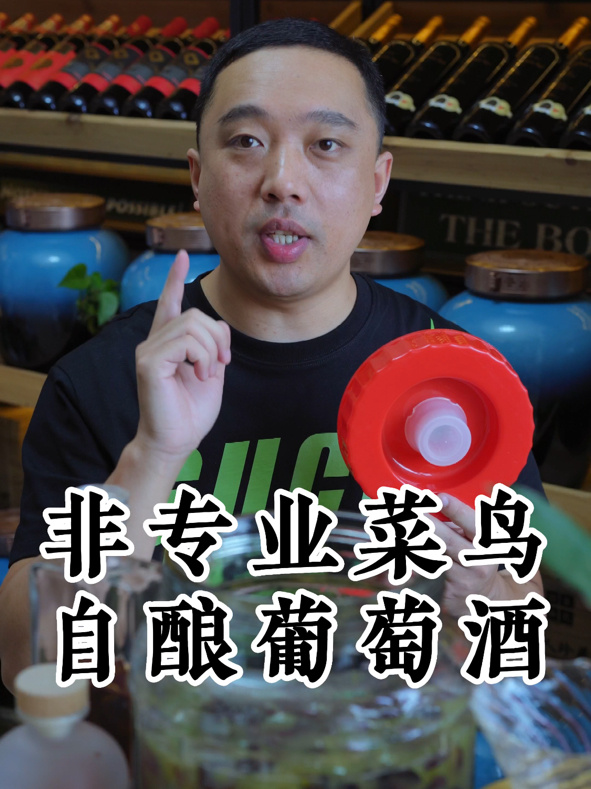 自酿葡萄酒,菜鸟1分钟把葡萄变成葡萄酒!