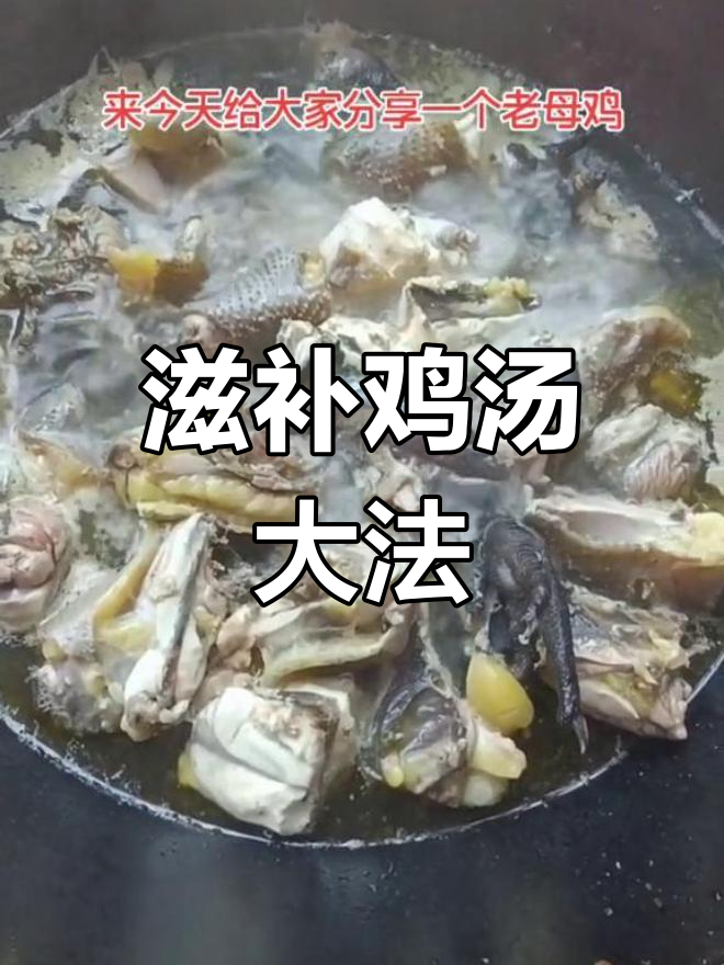 乌鸡与四物汤、红枣枸杞炖煮,滋补美味一锅端