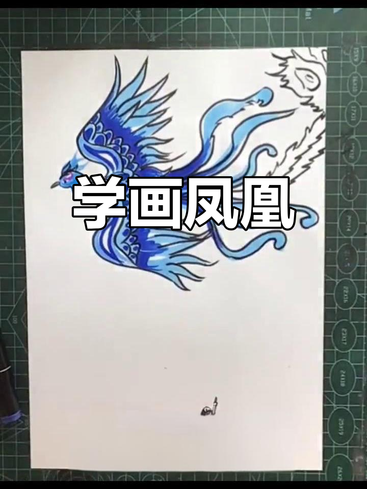 简单凤凰简笔画教程