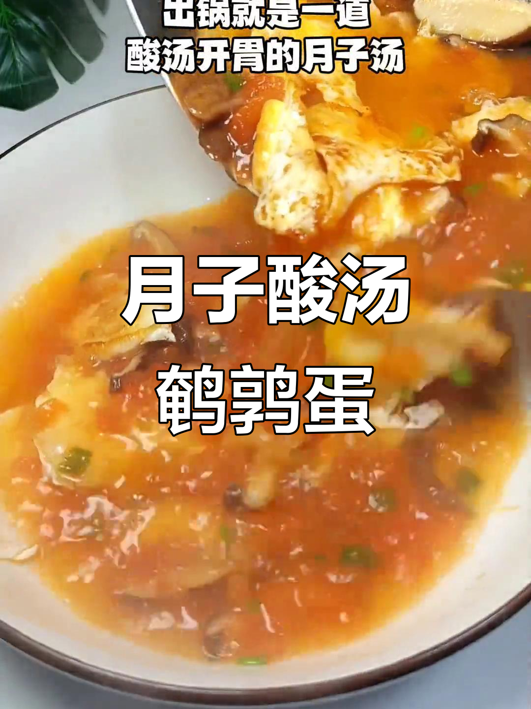 酸汤鹌鹑蛋,番茄香菇月子餐轻松做