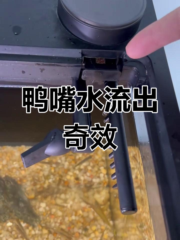 鸭嘴雨淋出水口改造,水流效果超赞!
