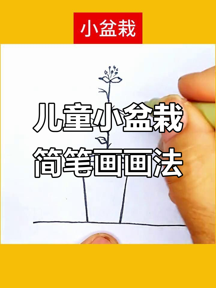 小盆栽简笔画教学,轻松学会画可爱植物