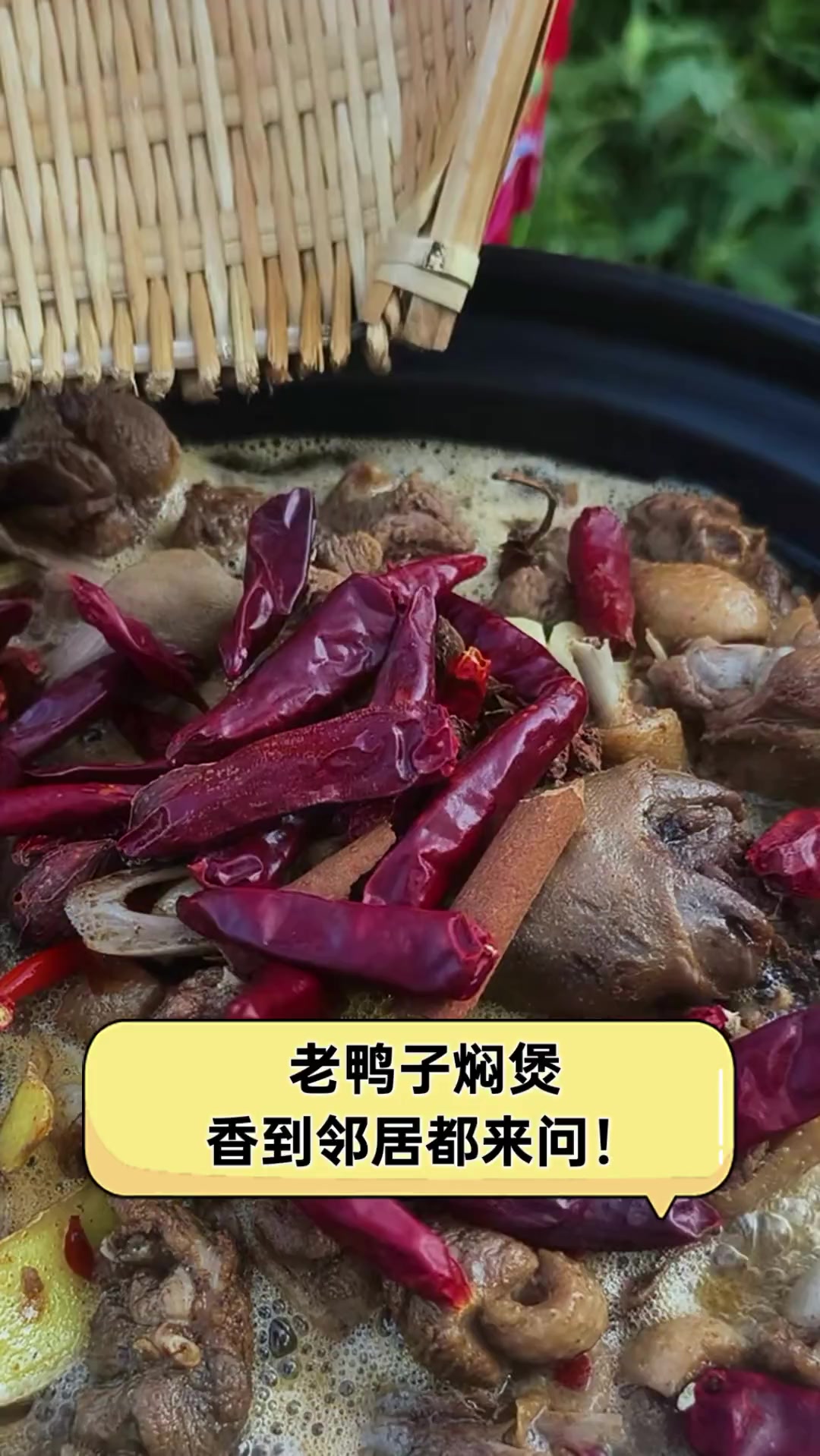 老鸭子焖煲,香到邻居都来问!