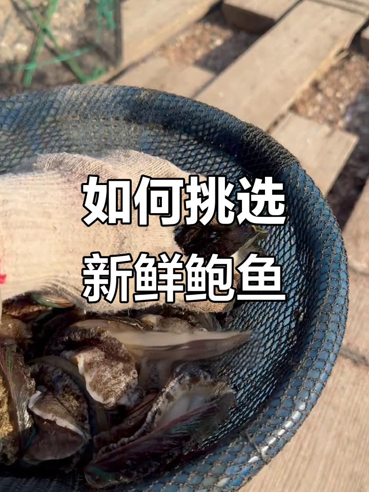 买鲍鱼要看清楚,六头和十头的区别你知道吗?