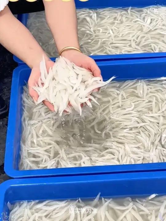 正当季的淡水河鲜银鱼，营养丰富，无鳞无刺无内脏 家里有小朋友 一定要安排尝尝~