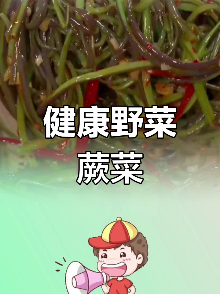 蕨菜的营养价值与健康益处