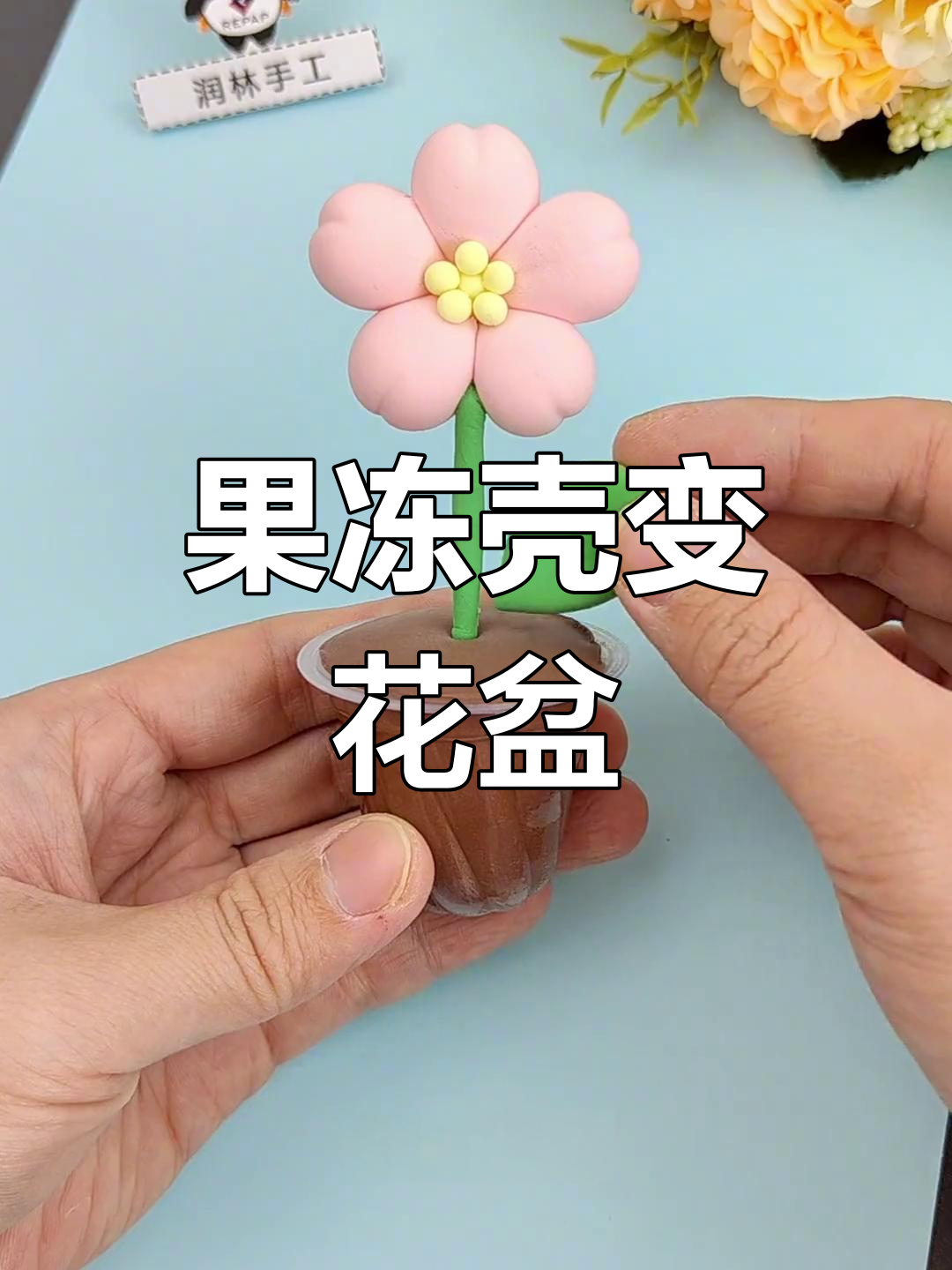 用果冻盒做多肉盆栽,轻松学超轻粘土手工