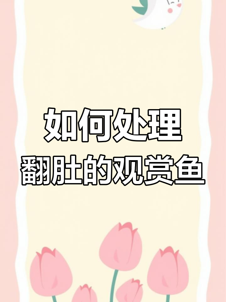 鱼翻了怎么办?失鳔问题解决全攻略