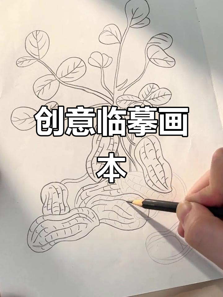 趣味临摹画册,图案精美,锻炼手部协调