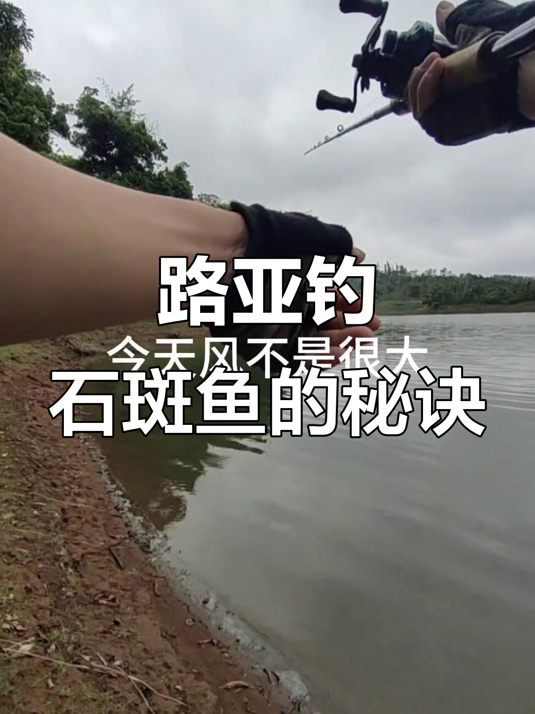 路亚钓石斑鱼技巧与用饵全攻略