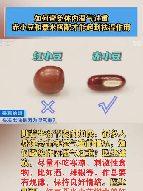 「如何避免体内湿气过重 赤小豆和薏米搭配才能起到祛湿作用」随着生活节奏的加快,很多人身体会