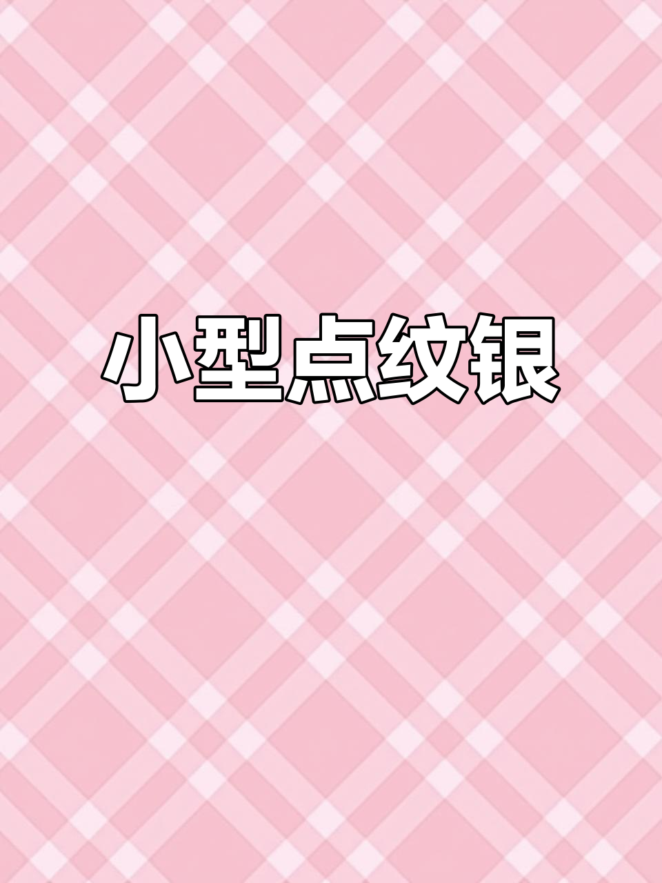 点纹银鮈:小型溪流鱼,黑斑纵纹惹人爱