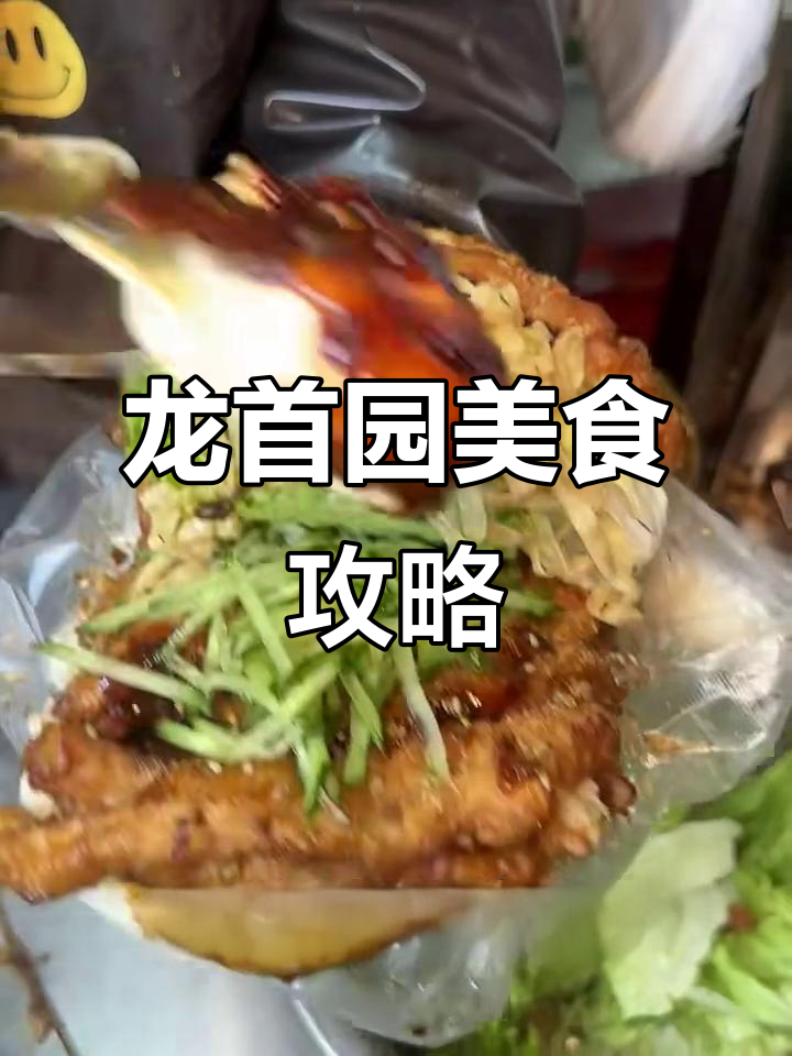 西安龙首园美食大揭秘,熏肉大饼必试!