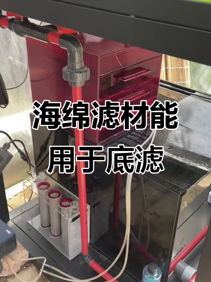 底滤缸能用海绵滤材替代陶瓷吗？效果超乎想象