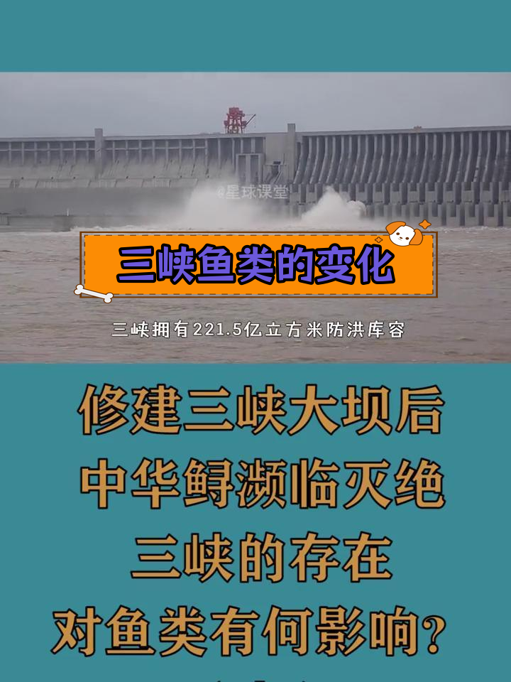三峡水库20年,鱼类生存现状如何?