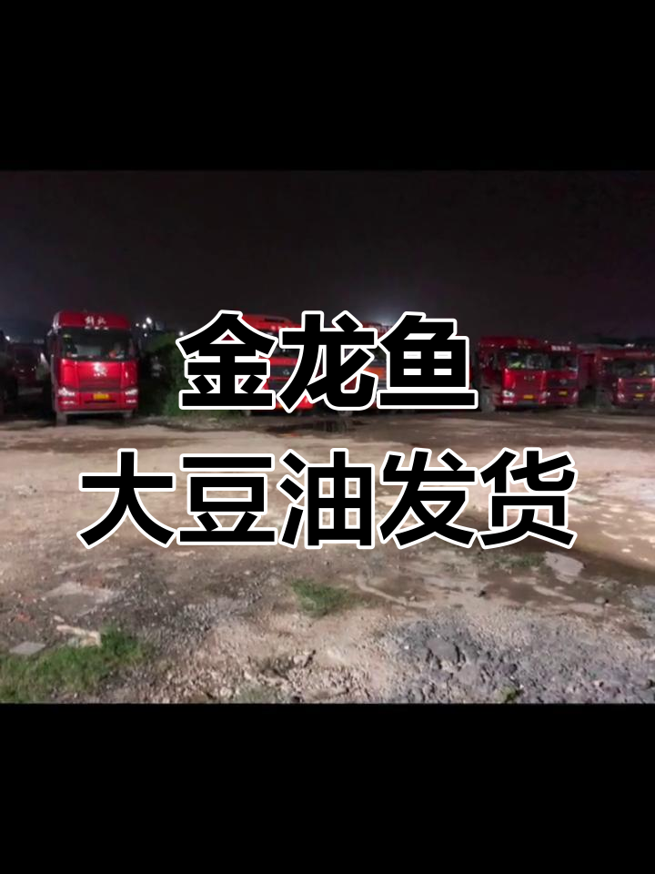 东莞金龙鱼大豆油工厂,30小时等待出货