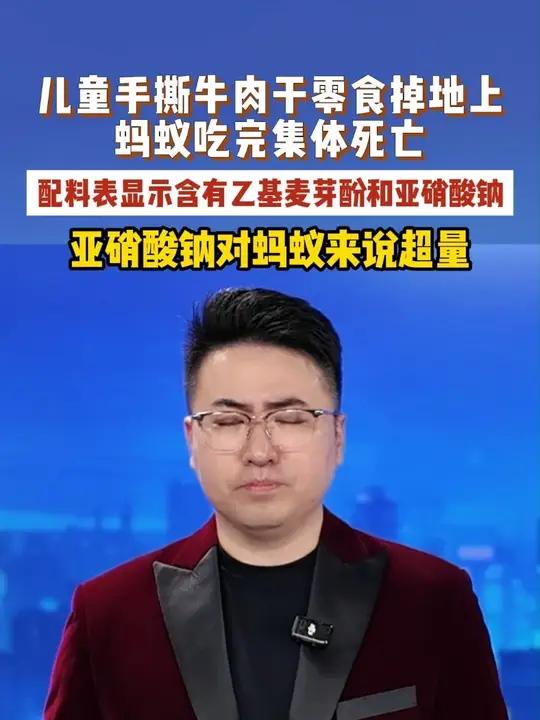 儿童手撕牛肉干零食掉地上，蚂蚁吃完集体死亡，这是什么情况？