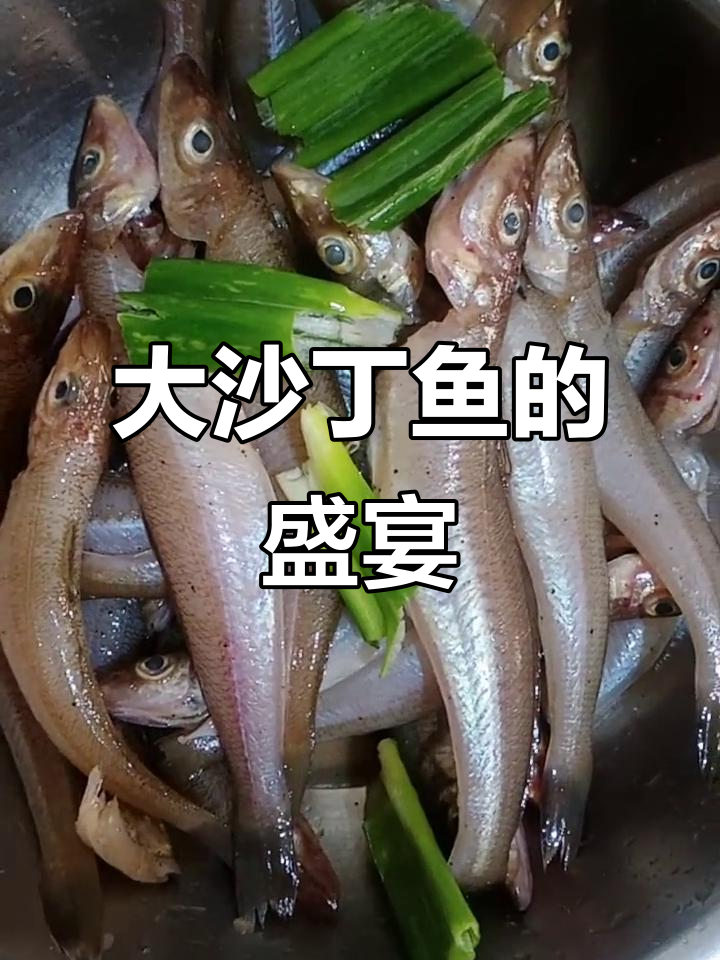 野生大沙丁鱼,特色面鱼与羊汤,美味尽享!