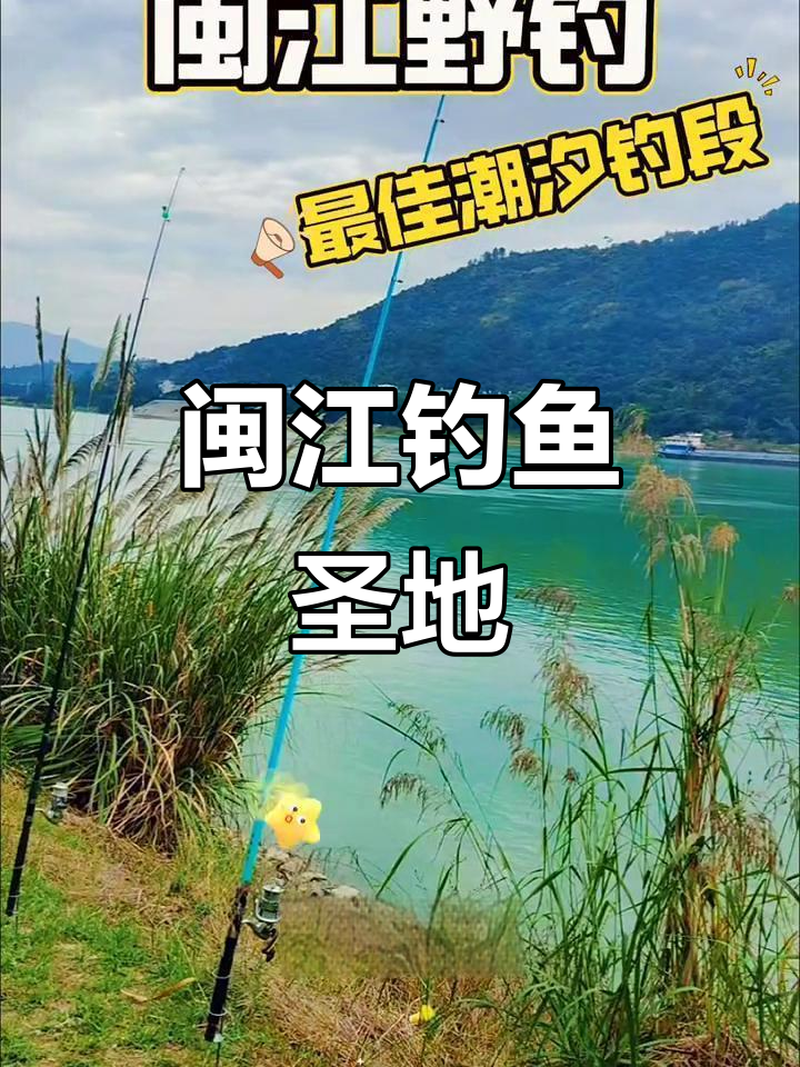 闽江钓鱼宝地,潮汐最佳钓点,野钓爱好者必看!