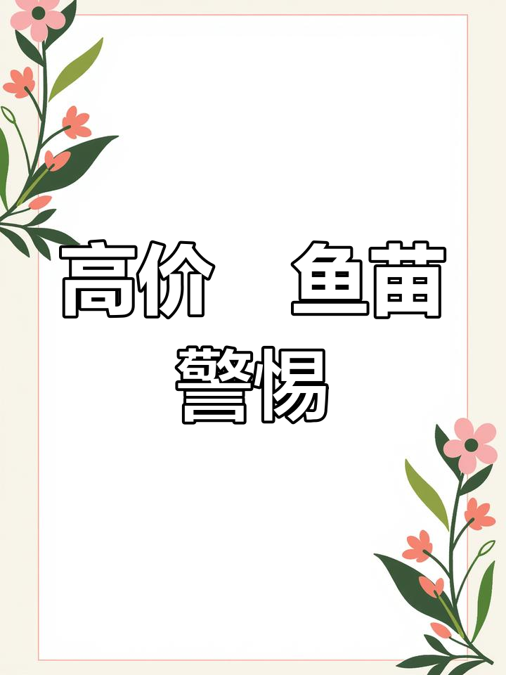 鮰鱼苗价飙升,养殖户需谨慎决策,避免高风险投资