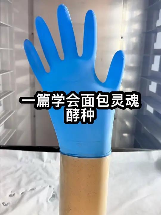 一篇学会面包灵魂——酵种 两款酵种详细流程:鲁邦种 提子酸种