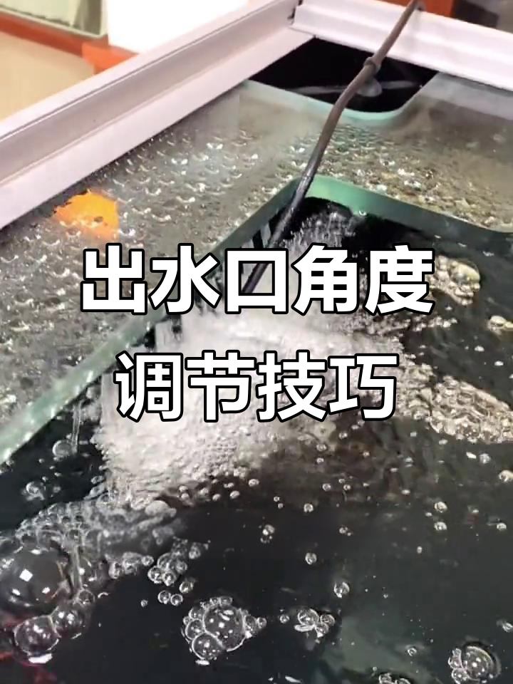 鱼缸出水口角度调节，轻松解决便便问题