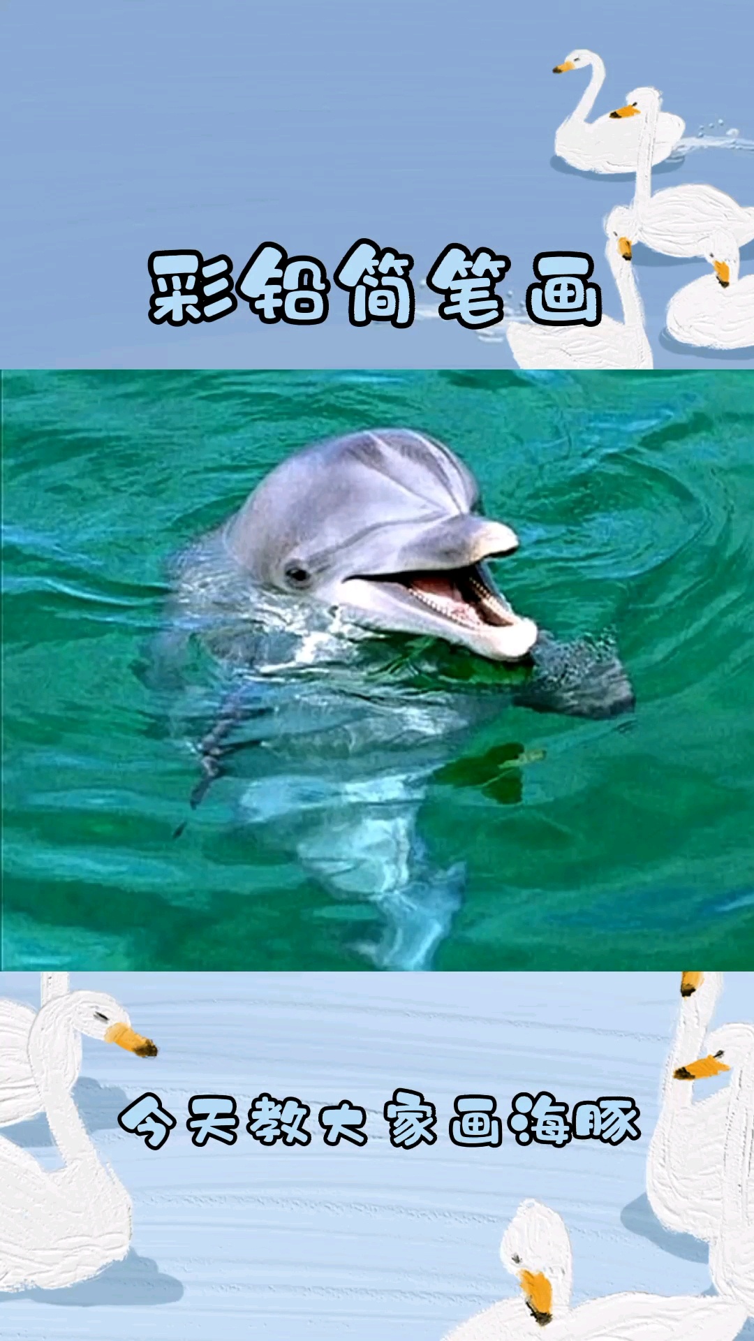 彩铅简笔画小海豚