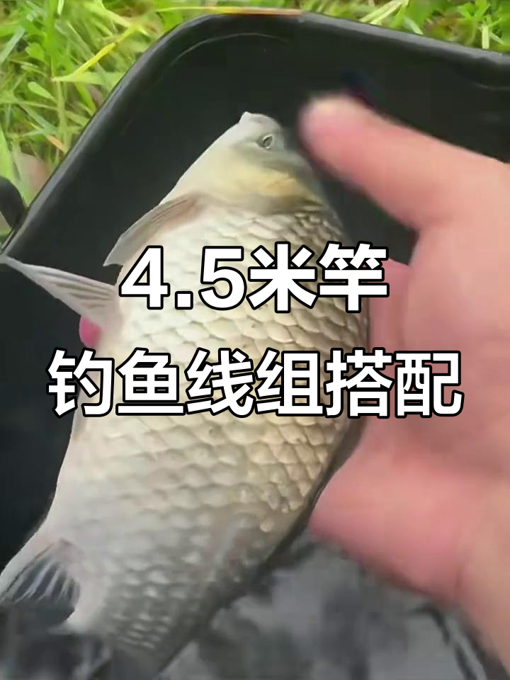 野钓鲫鱼时,如何搭配4.5米杆子的线组和钩子
