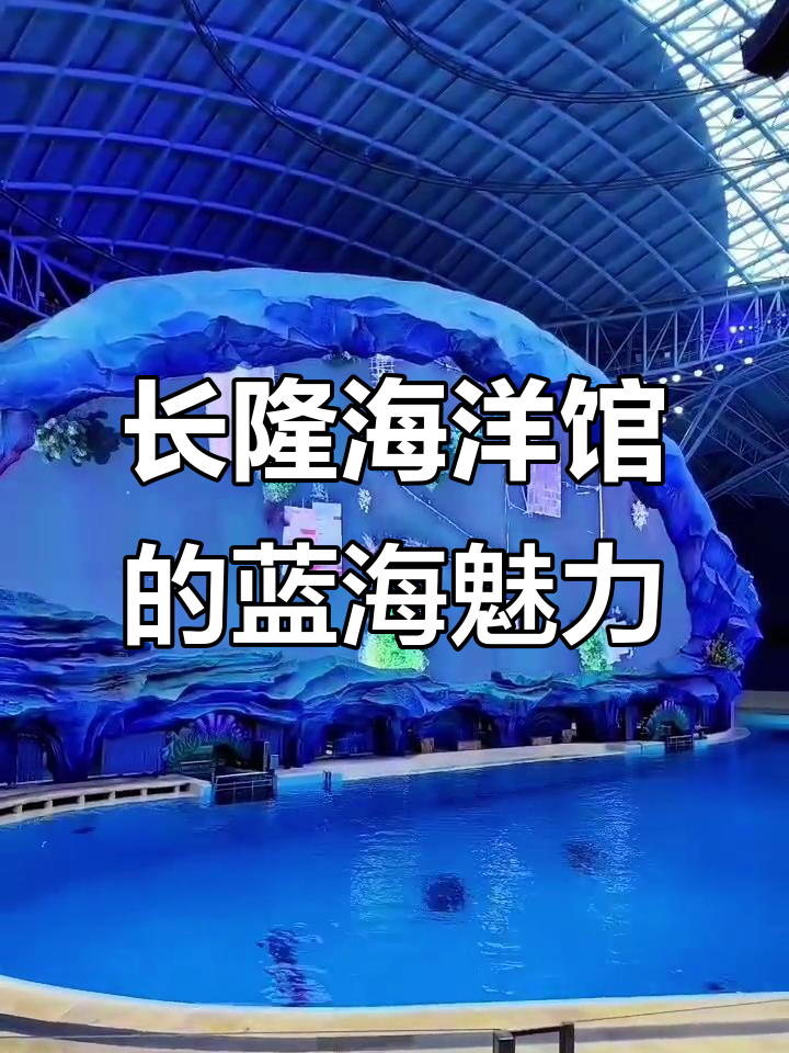 珠海长隆海洋馆:蓝色治愈系,鲸鱼与深海的视觉冲击