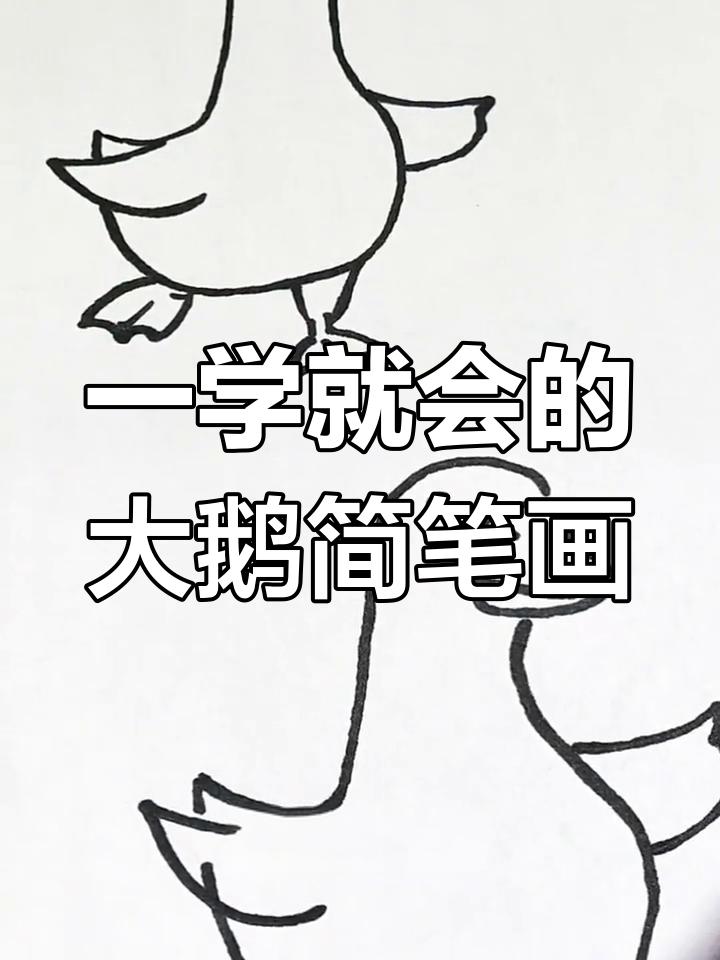 轻松学画大鹅,步骤简单又有趣