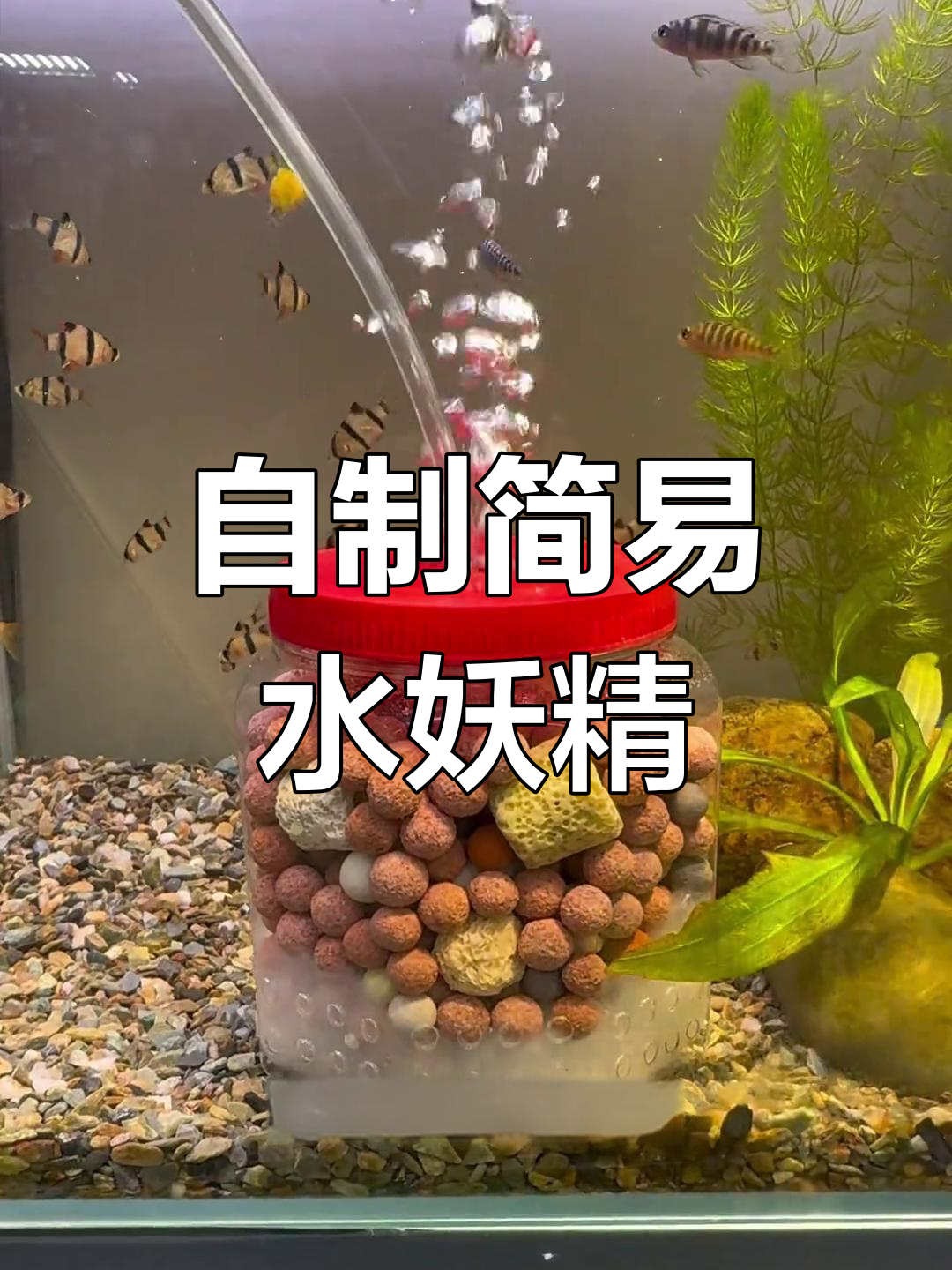废旧瓶子变身水妖精,DIY鱼缸增氧过滤器教程
