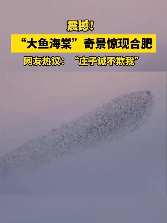 “大鱼海棠”奇景惊现合肥