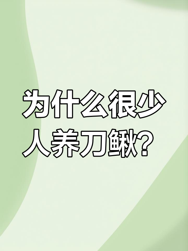 刀鳅鱼养殖难题:水质要求高,周期长,风险大