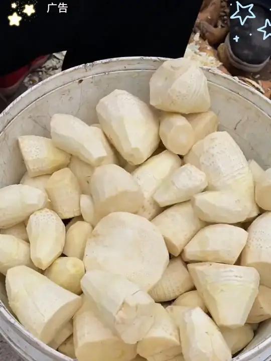现挖去壳冬笋肉,收到都是白白嫩嫩的,炒腊肉煲汤都非常不错