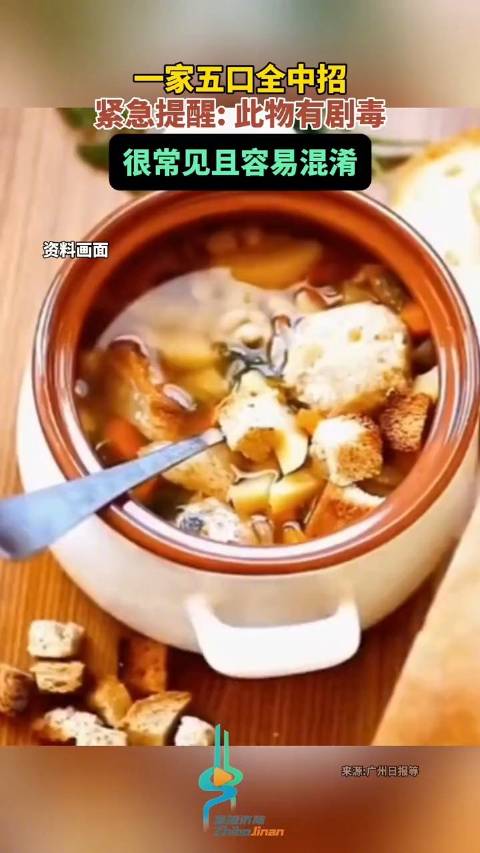 「一家五口喝煲鸡汤中毒2人进ICU:确认为“断肠草”中毒」近日,广东深圳李婶(化名)一家五