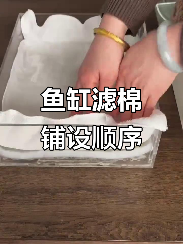 鱼缸过滤棉搭配技巧,教你如何正确铺放每一层