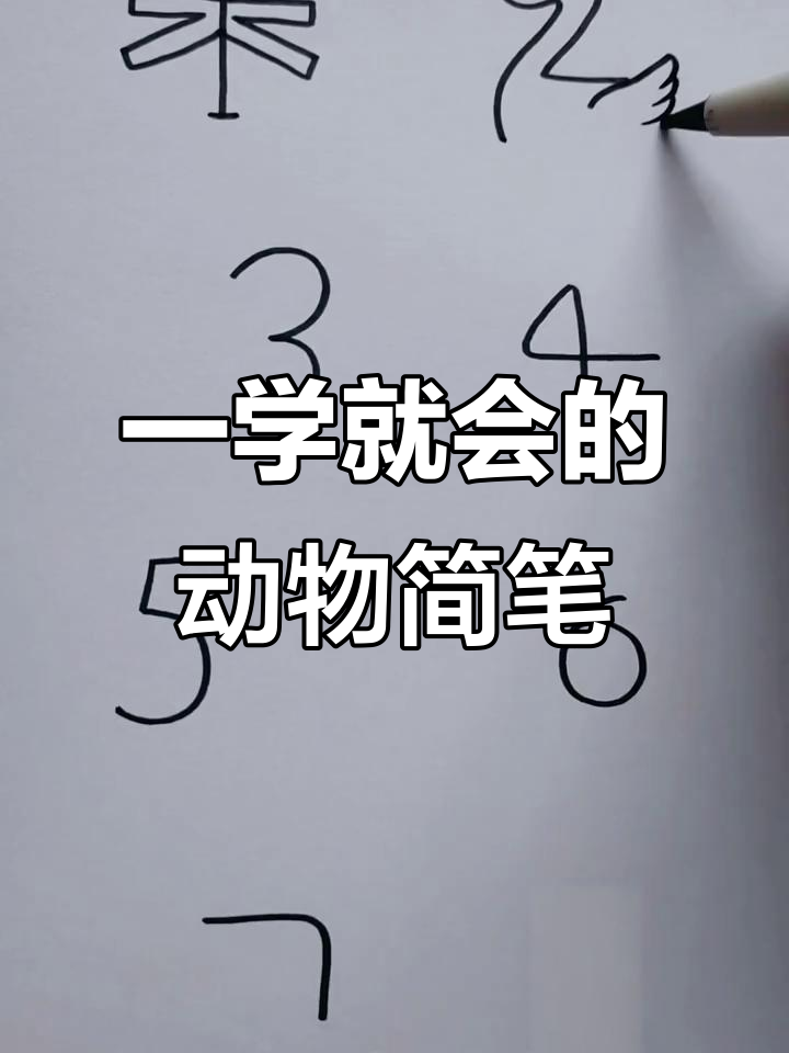 数字一到八画,轻松学会可爱动物简笔画