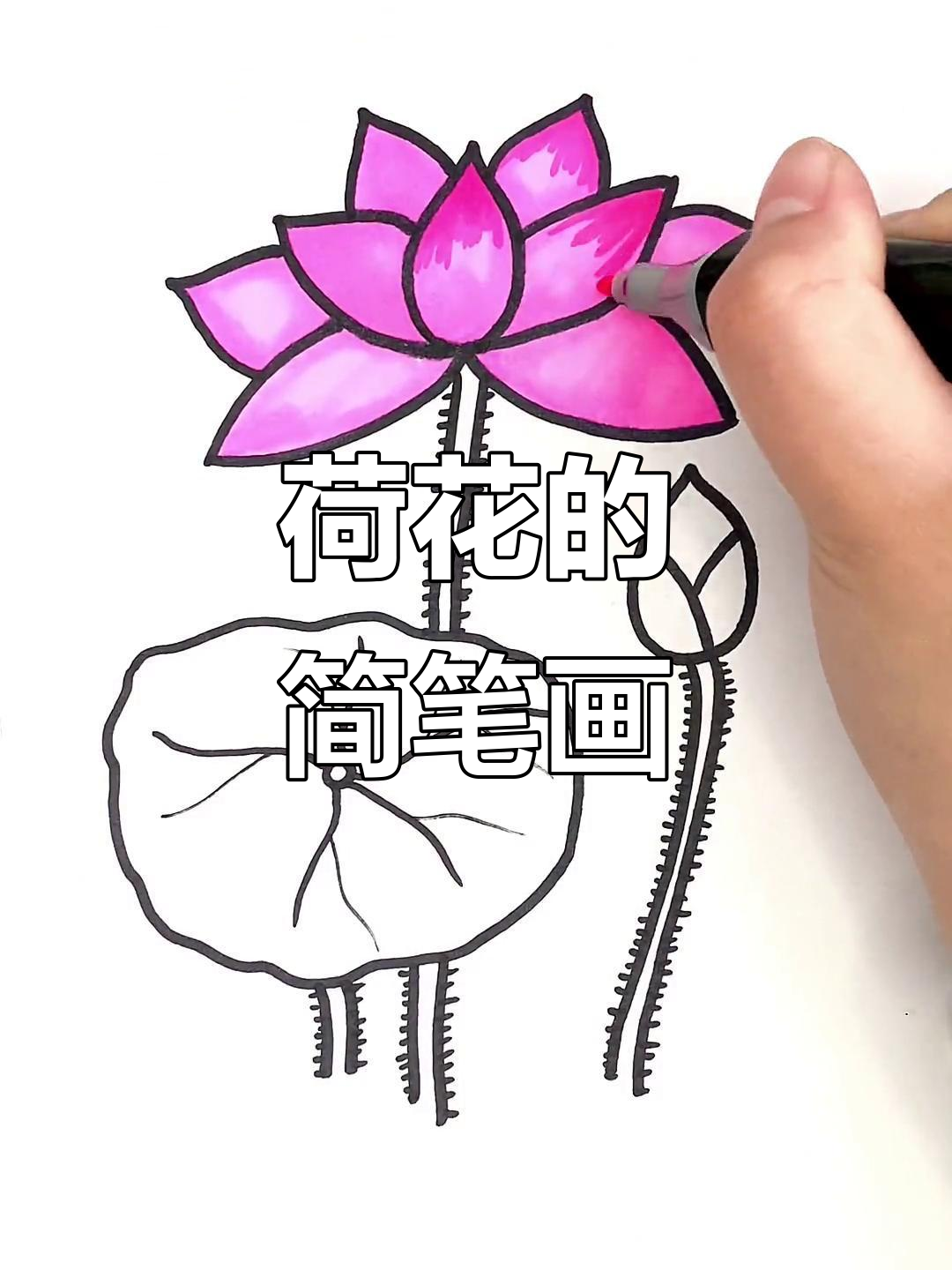 和孩子一起动手,轻松画出美丽的荷花!