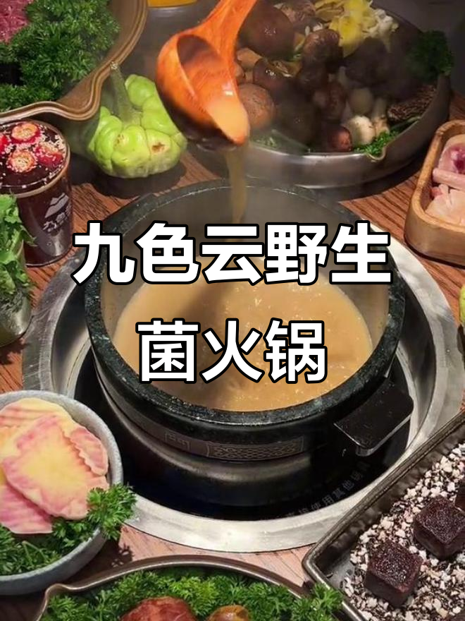 夏日清凉火锅,云南野生菌与银龙鱼的完美邂逅