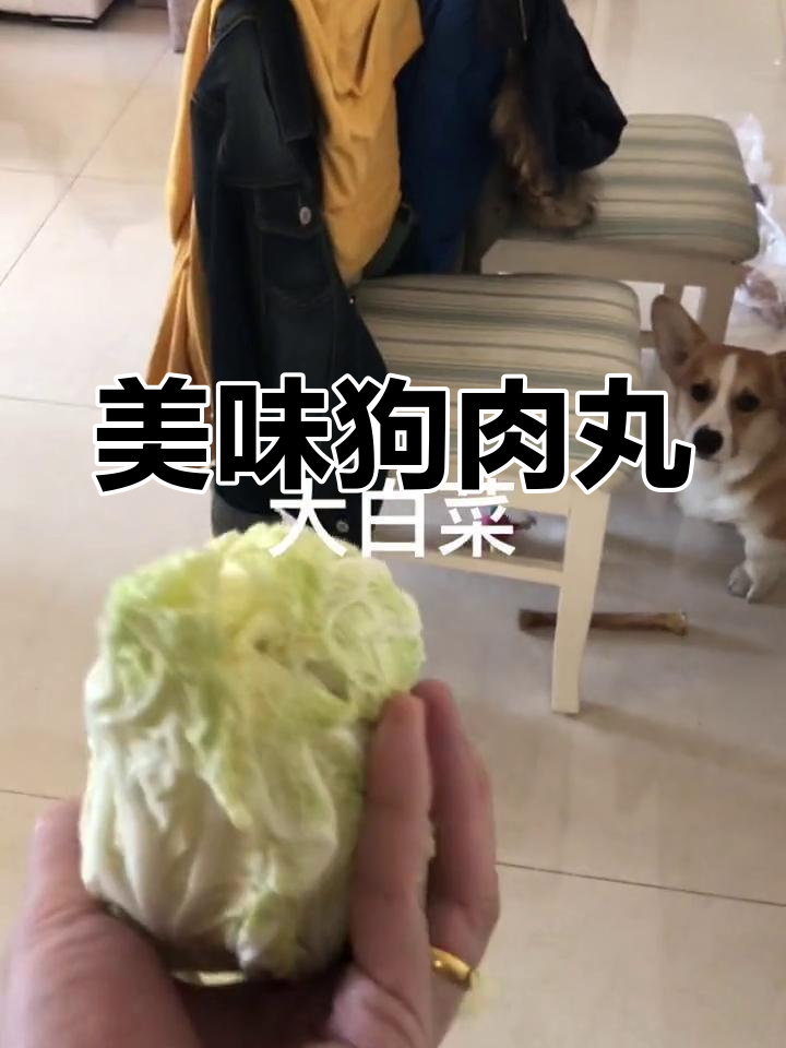 狗肉丸子制作方法