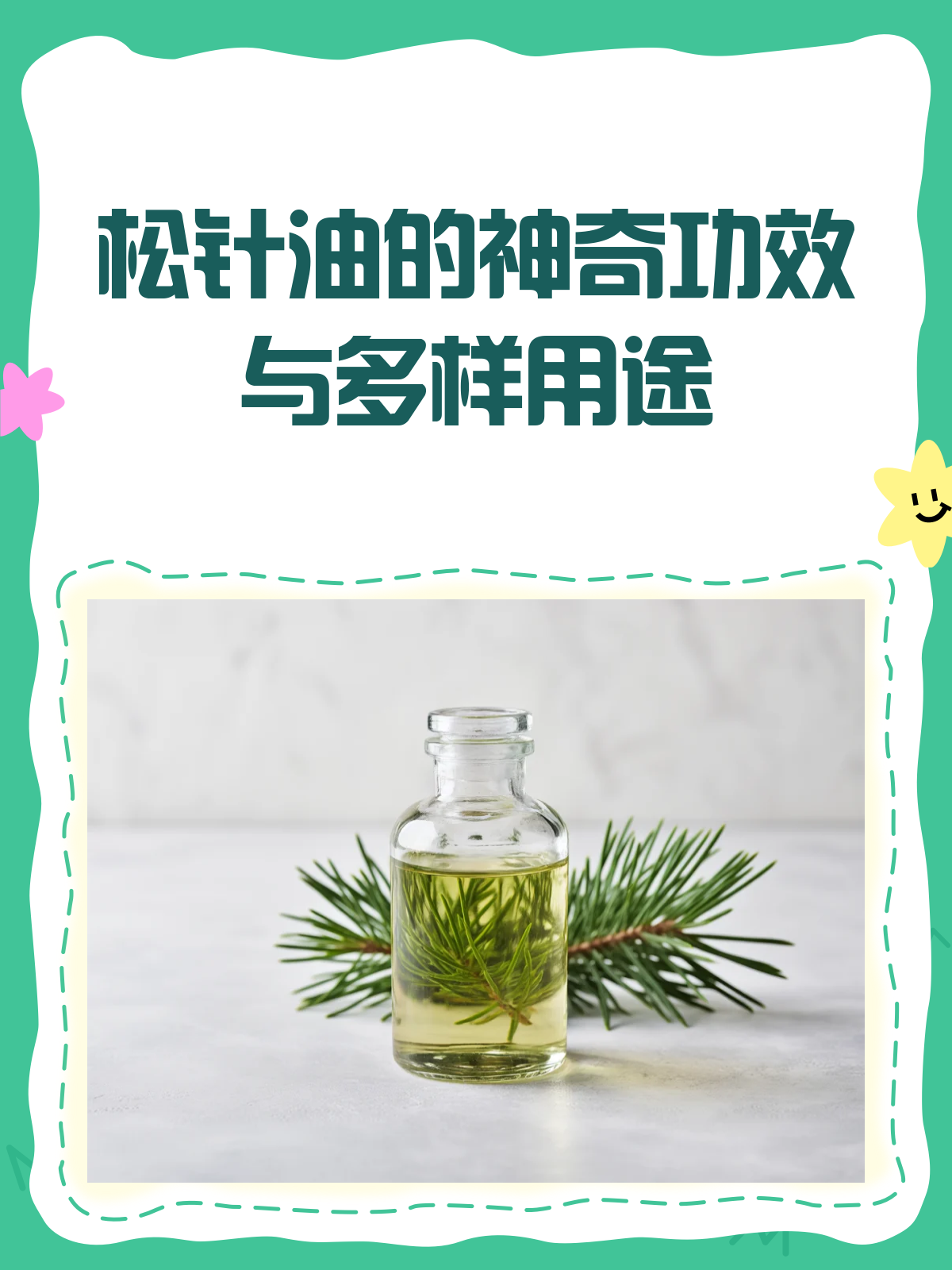 松针油,你不可不知的天然养生宝藏!